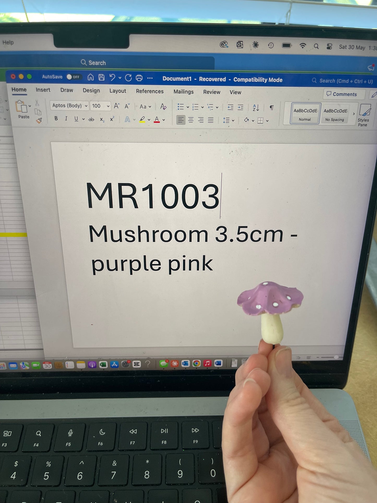 Fairy Garden Mushroom  3.5cm