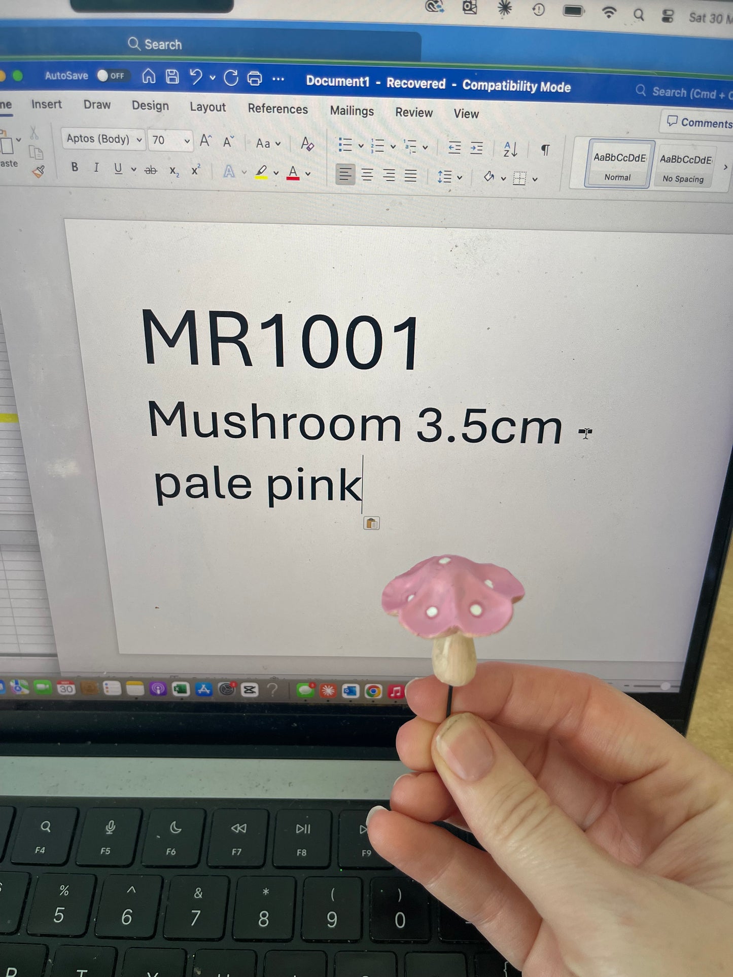 Fairy Garden Mushroom  3.5cm