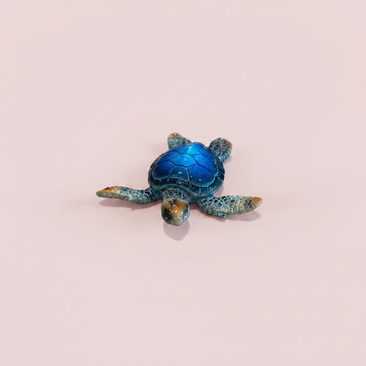 Turquoise Turtle